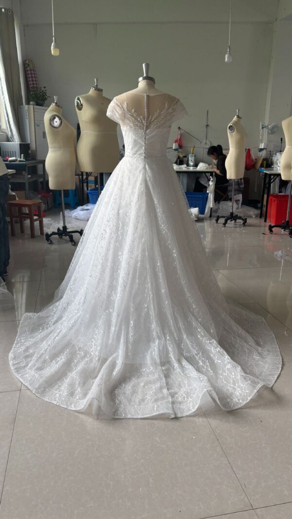 Off-shoulder Light Wedding Dress Bridal Main Yarn Lace Wedding Veil Small Trailing - Image 6